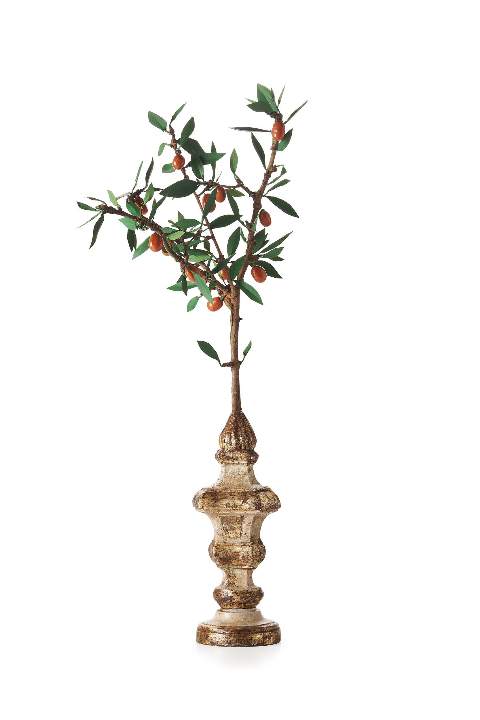 Scultura di Arance Kumquat